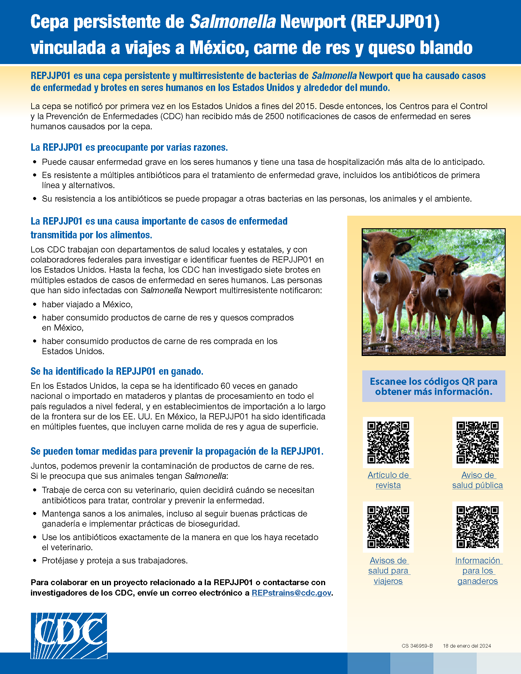 CDC Guidance in Spainish