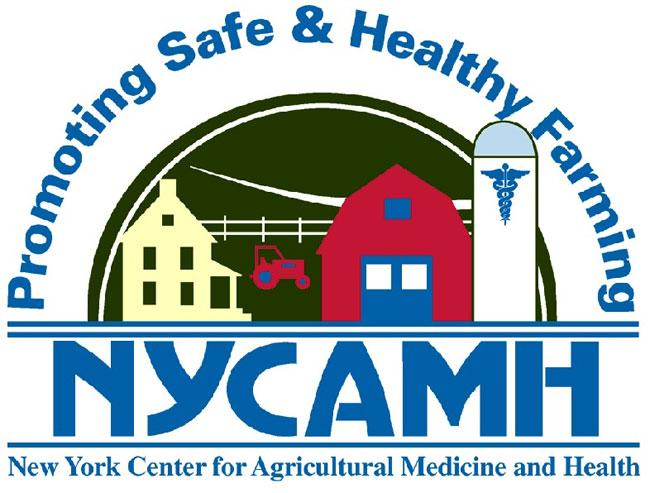 Older NYCAMH logo 