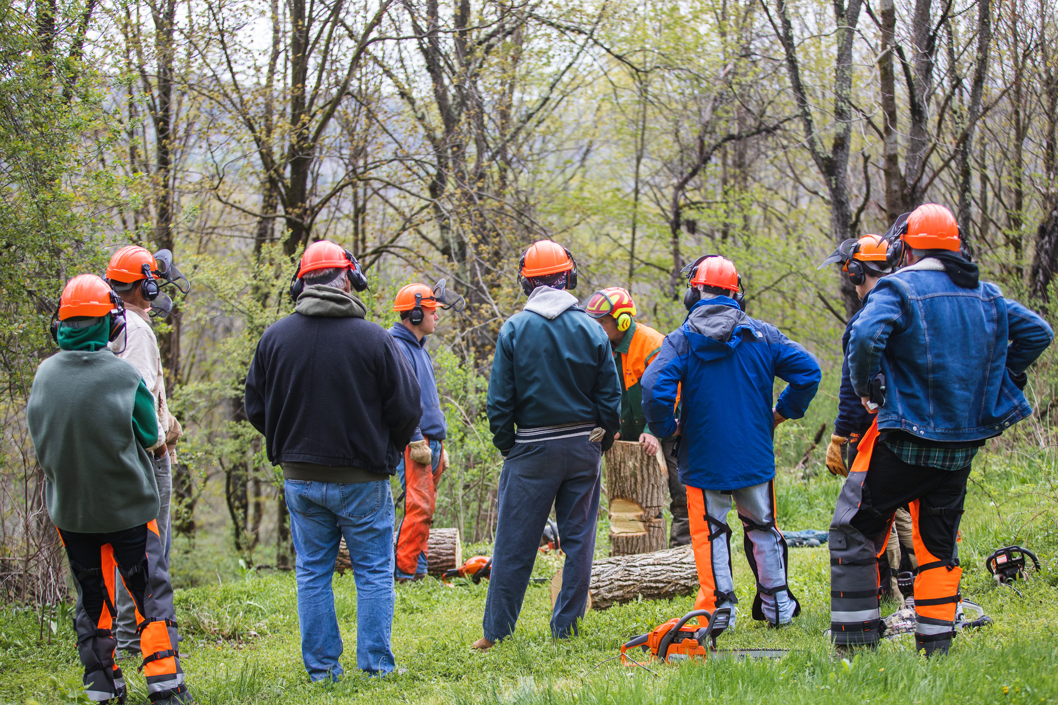 Chainsaw Operation and Safety Training Online - Safetyhub