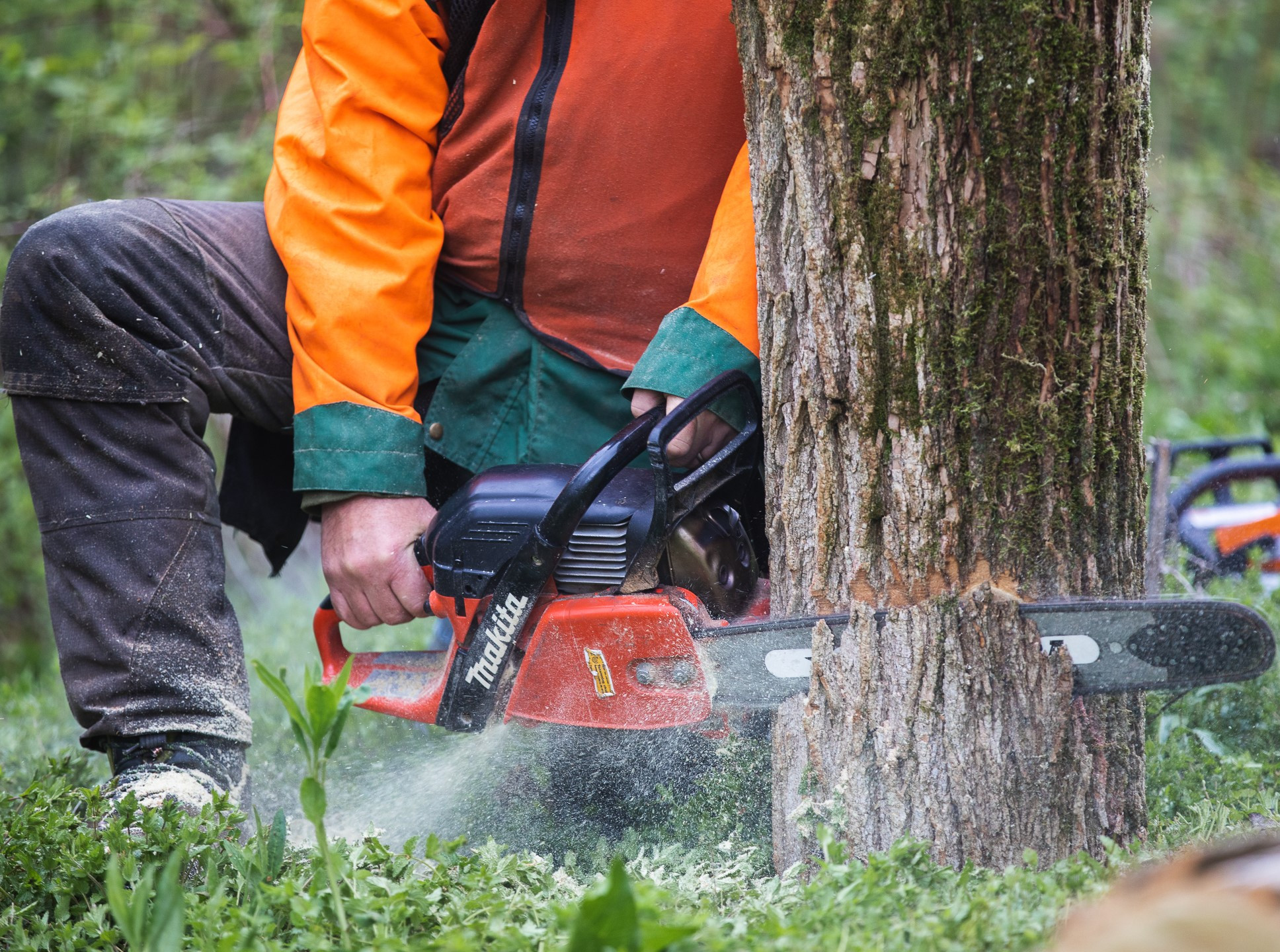 NYCAMH partners with Bill Lindloff's ProCuts to offer Game of Logging trainings to farmers across New York.