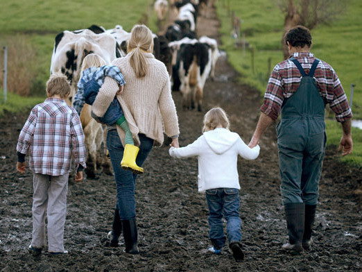 The John May Farm Safety Fund has been established for New York farmers needing financial help to improve safety on their farms.