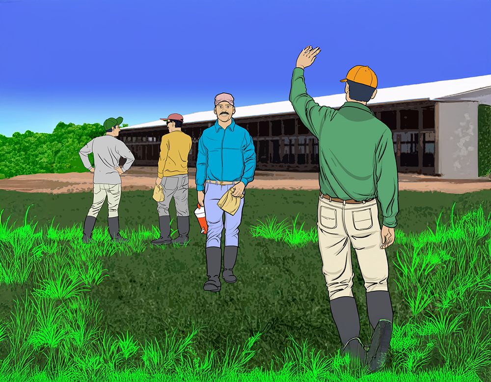 Culturally appropriate farm worker safety materials