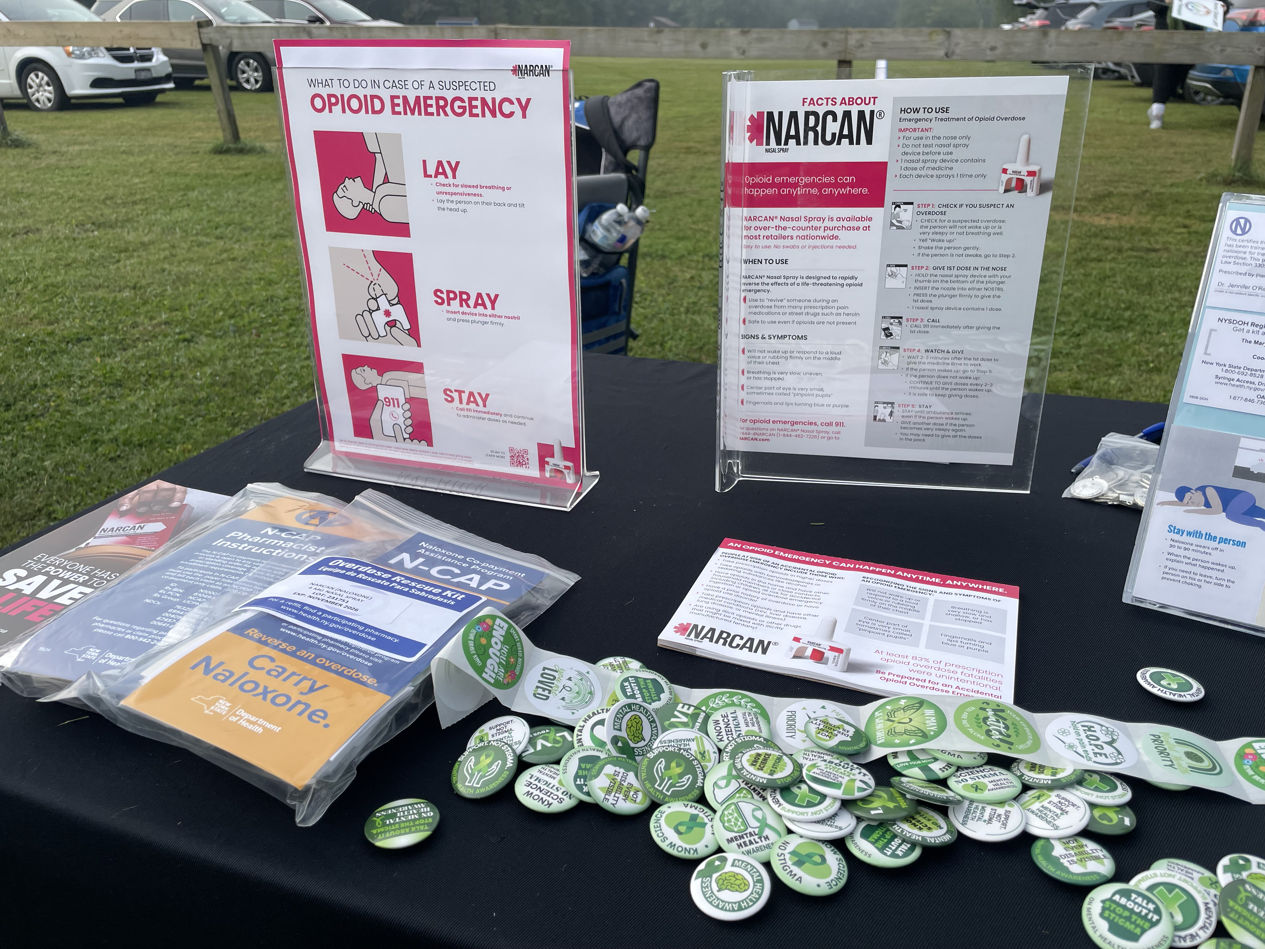 NYCAMH @ Out of the Darkness Walk