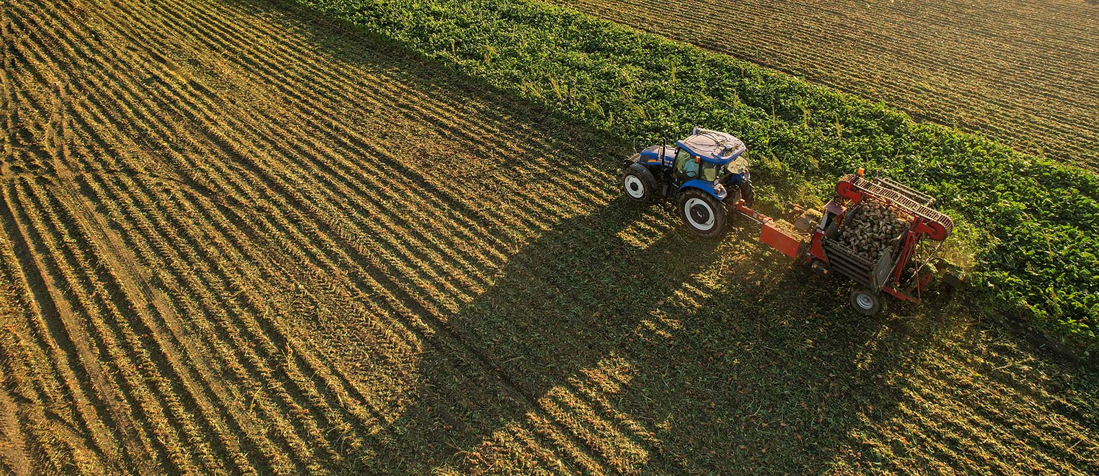 Tending to the Future