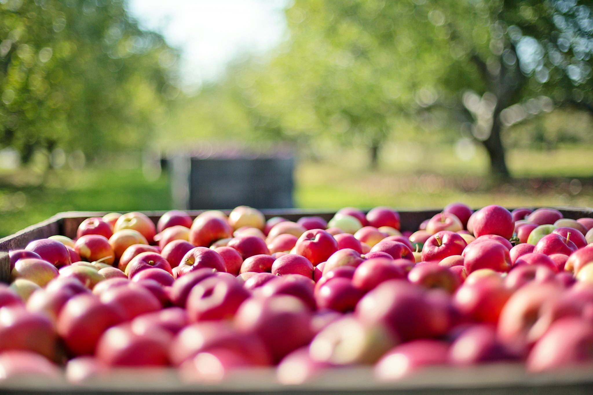 Hot Off the Presses: Agritourism Guide